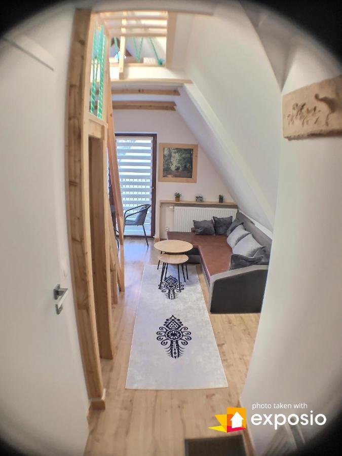 Ski Tour Apartments Zakopane Buitenkant foto